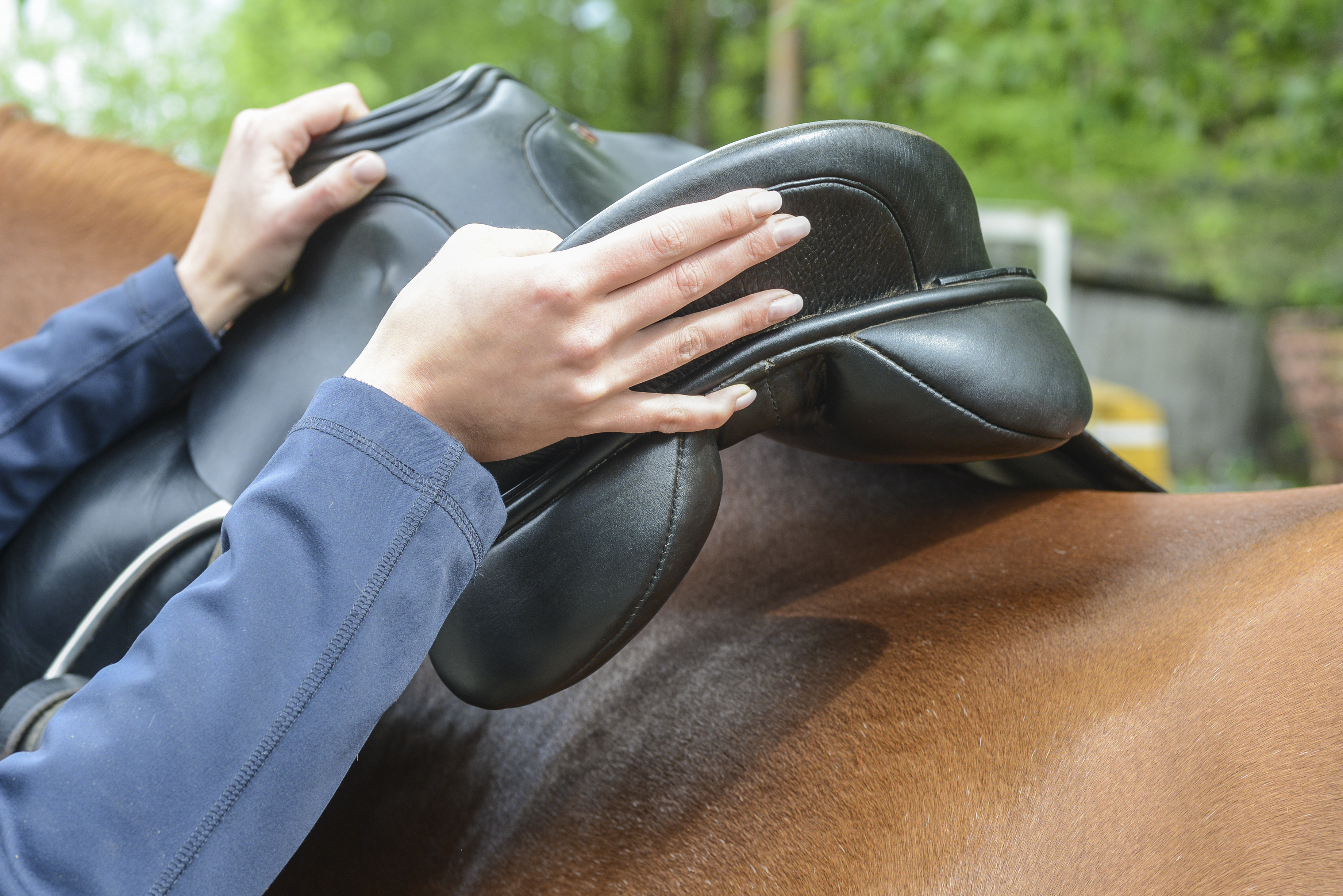 SaddleFitting